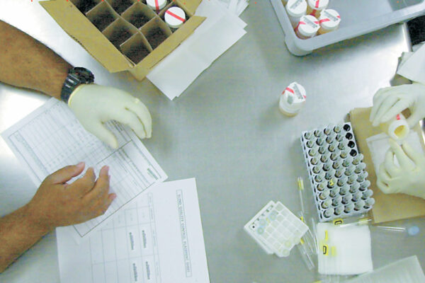 hands preparing samples
