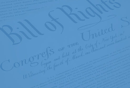 Bill of Rights Action Slide Blue