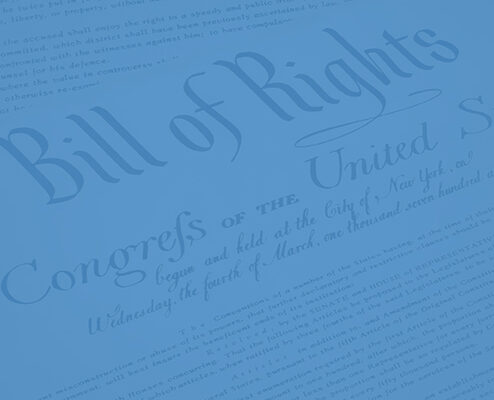 Bill of Rights Action Slide Blue