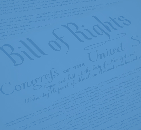 Bill of Rights Action Slide Blue