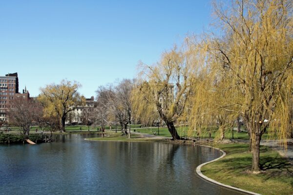 Public Garden