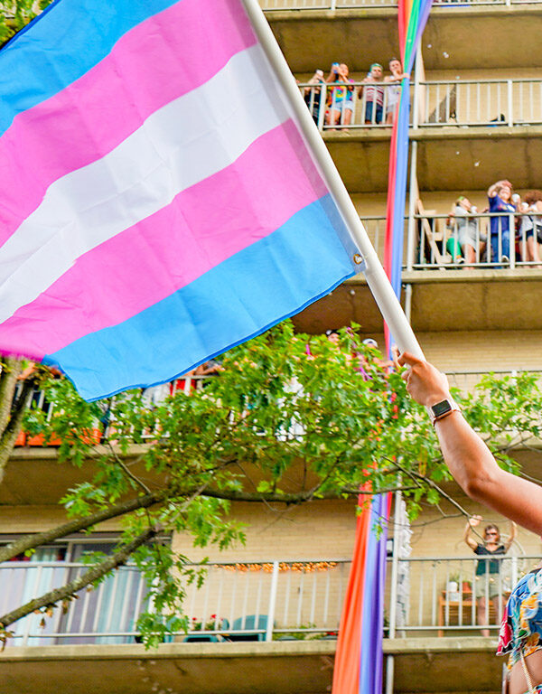 Trans Flag at March
