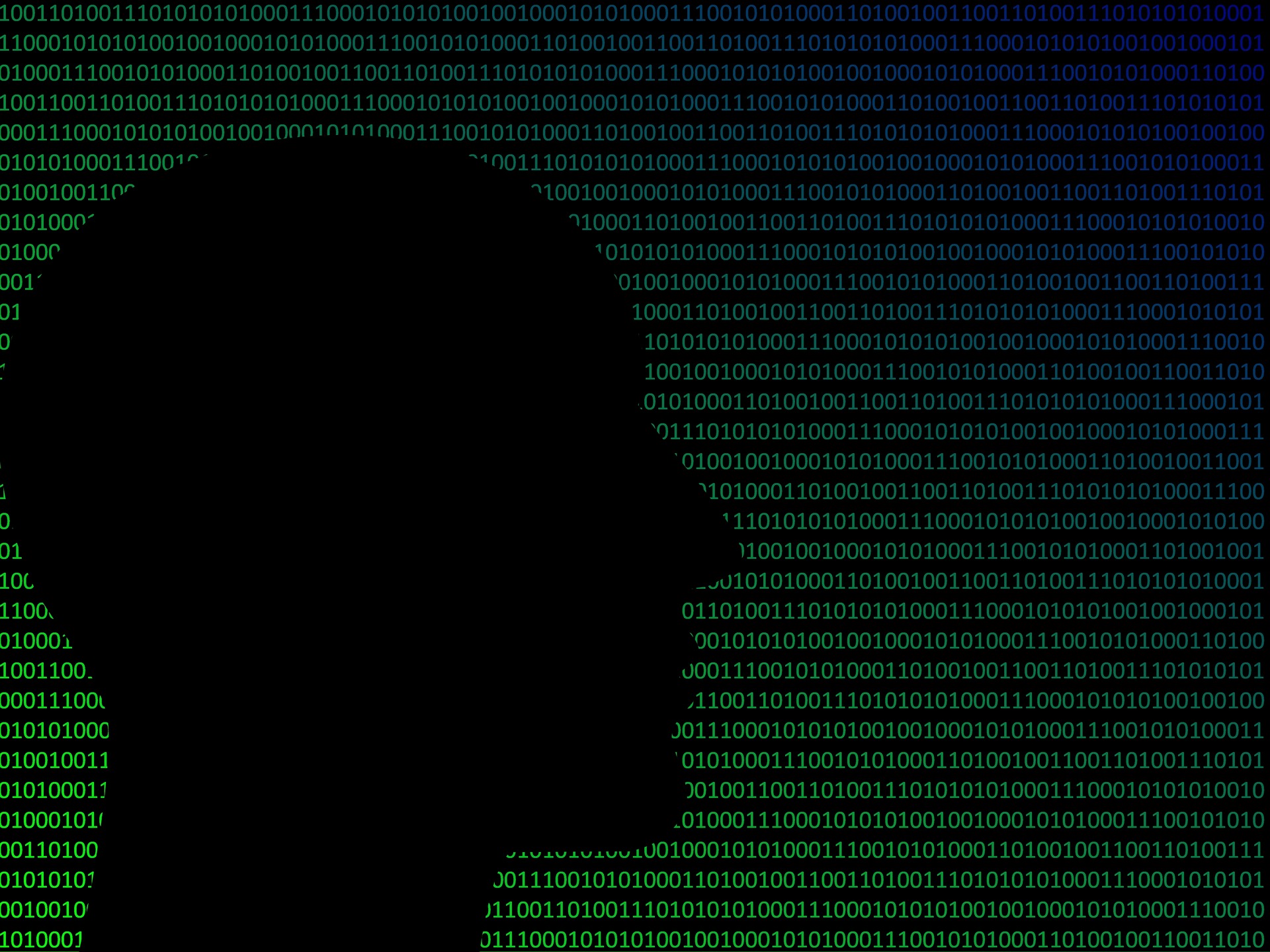 silhouette outline of person's face in front of green code