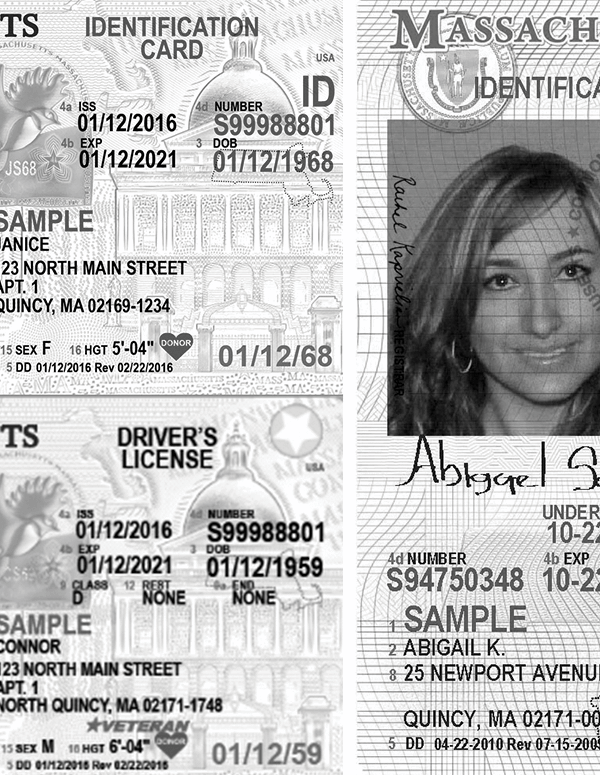 Collage of Massachusetts state IDs
