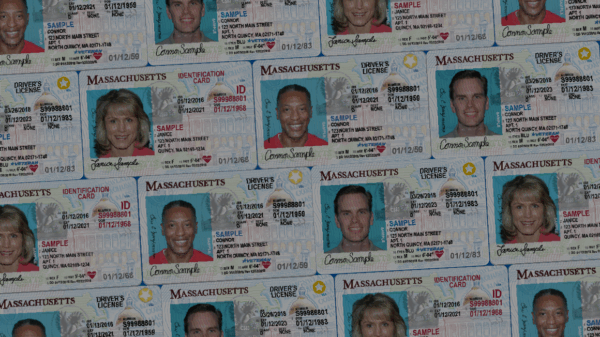 Collage of Massachusetts state IDs