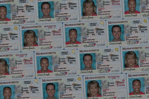 Collage of Massachusetts state IDs