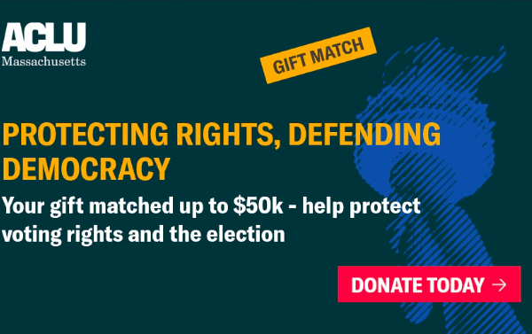 Protecting Rights, Defending Democracy