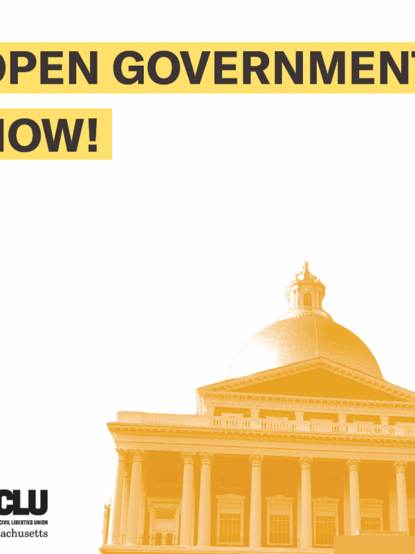 Open government now