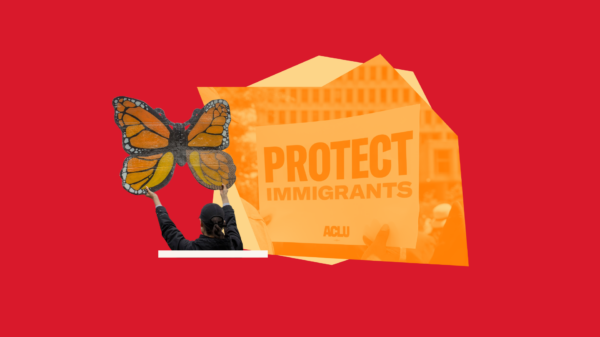Collage graphic in red, orange, and yellow that includes a protest sign reading "Protect Immigrants", and a handmade sign of a monarch butterfly.