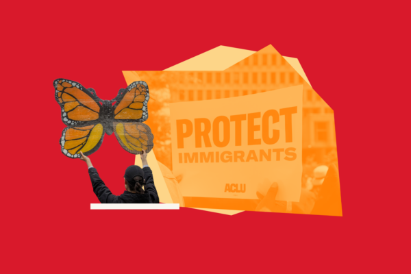 Collage graphic in red, orange, and yellow that includes a protest sign reading "Protect Immigrants", and a handmade sign of a monarch butterfly.