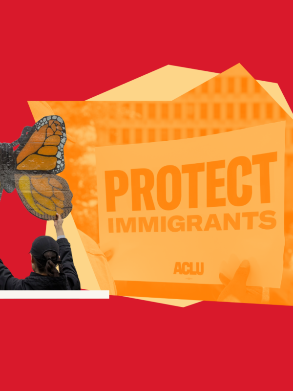 Collage graphic in red, orange, and yellow that includes a protest sign reading "Protect Immigrants", and a handmade sign of a monarch butterfly.