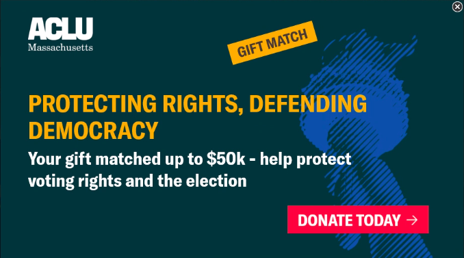 Protecting Rights, Defending Democracy