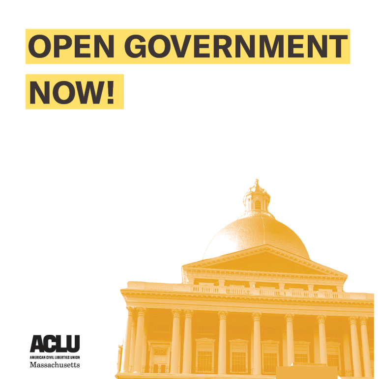 Open government now