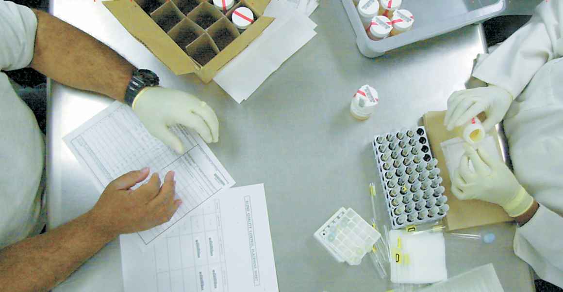 hands preparing samples