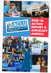 v3 annual report cover 2015