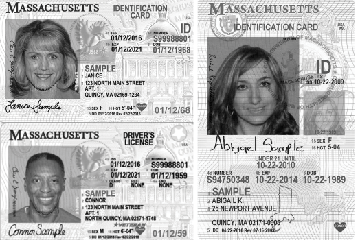 Collage of Massachusetts state IDs